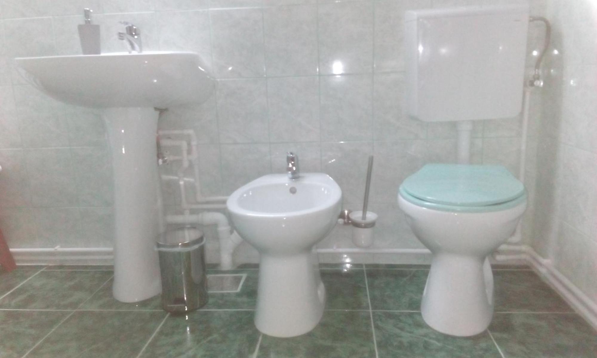 Casa Pescar Leilighet Cluj-Napoca Eksteriør bilde